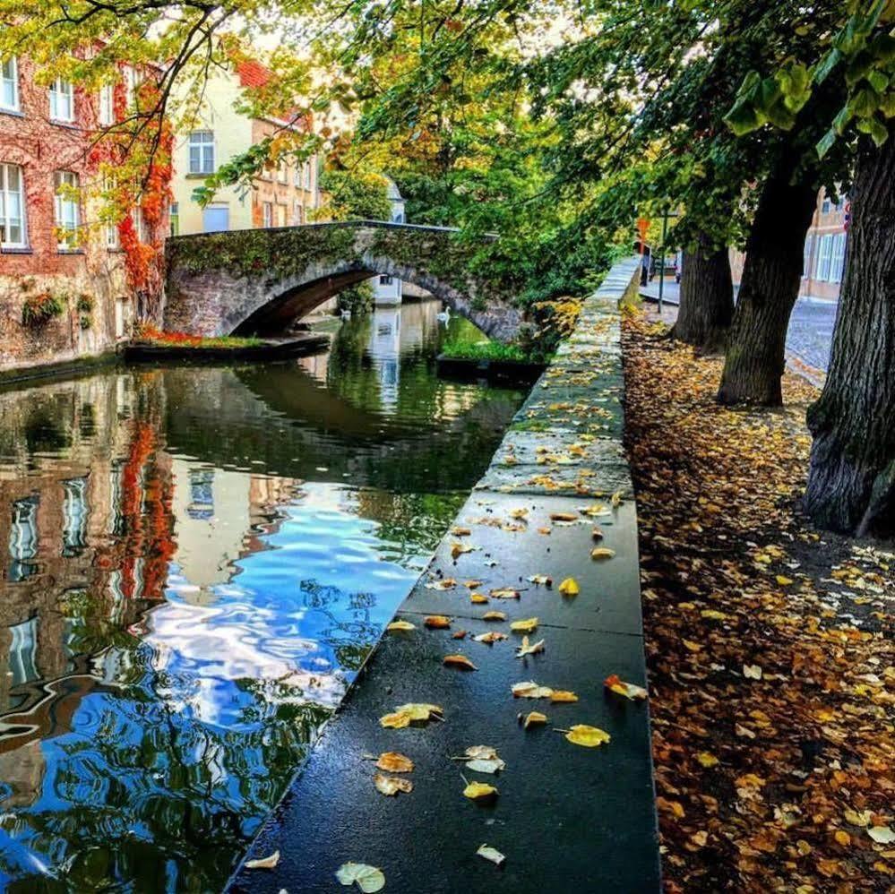 Guesthouse Dijver - Serene Escape In The Heart Of Historic บรูจส์ ภายนอก รูปภาพ